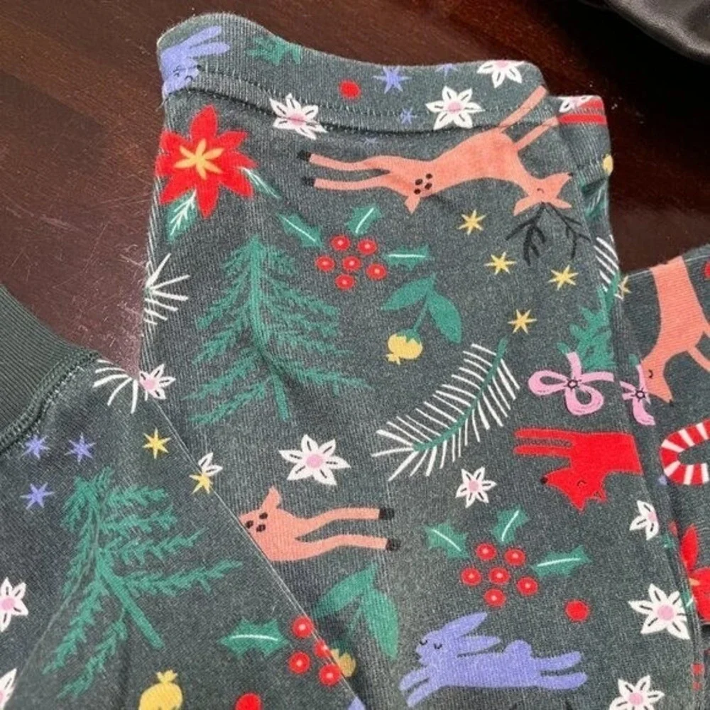 Hanna Andersson Winter Wonderland Pajama Cotton  Set Long Sleeve 2-Piece Size 10